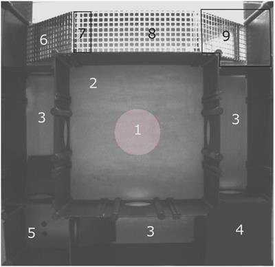 Behavioral profiling of SLC38A10 knockout mice using the multivariate concentric square fieldTM test